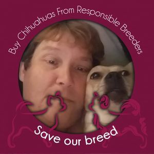 Meet your Posher, Roberta